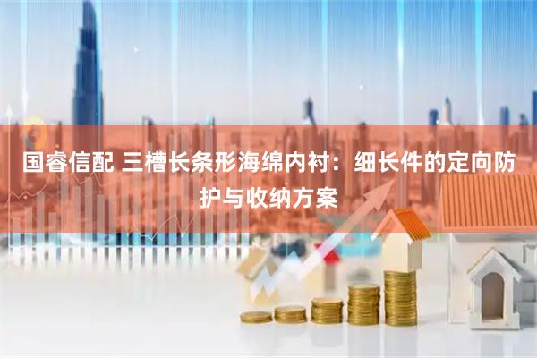 国睿信配 三槽长条形海绵内衬：细长件的定向防护与收纳方案
