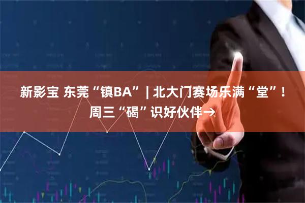 新影宝 东莞“镇BA” | 北大门赛场乐满“堂”！周三“碣”识好伙伴→